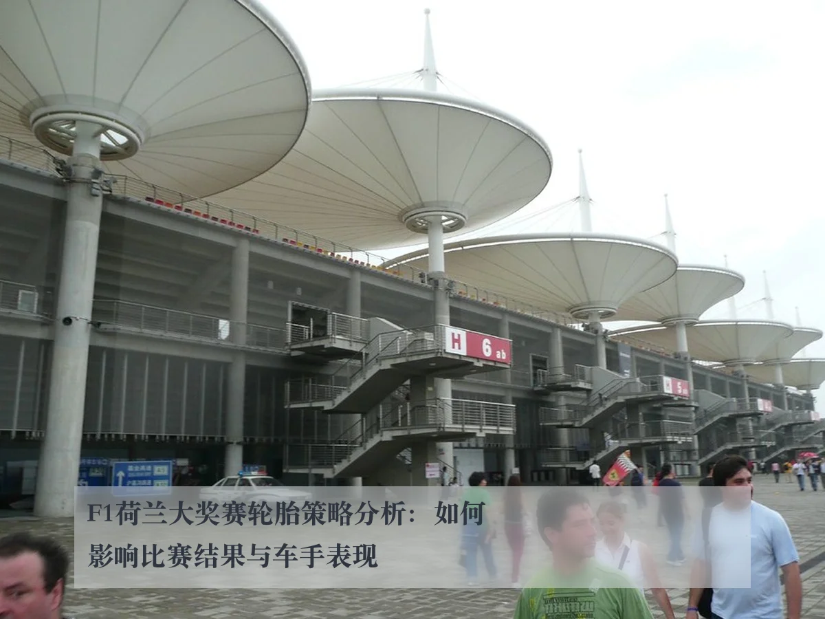 F1荷兰大奖赛轮胎策略分析：如何影响比赛结果与车手表现